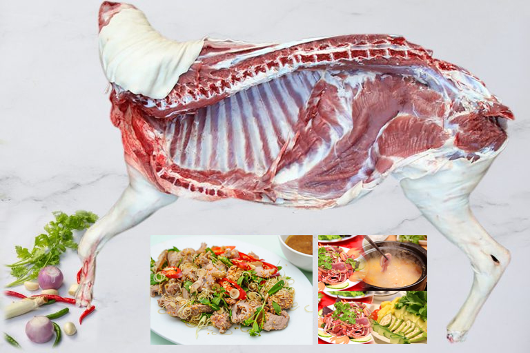 cong-dung-cua-thit-de